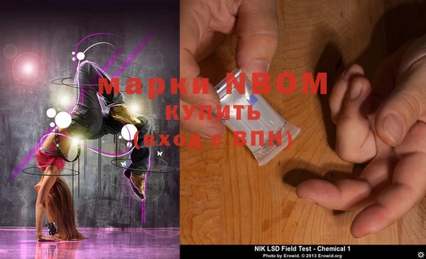 ГАЛЛЮЦИНОГЕННЫЕ ГРИБЫ Алексеевка