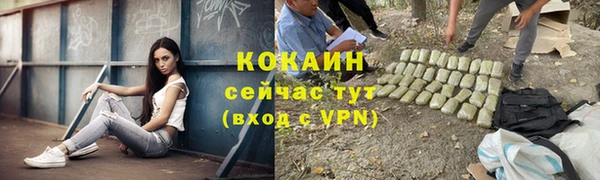 спайс Алзамай