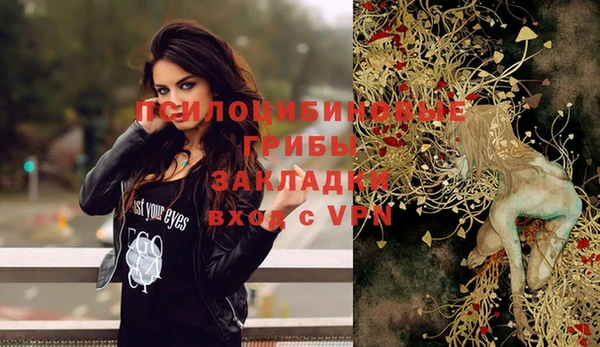 ГАЛЛЮЦИНОГЕННЫЕ ГРИБЫ Алексеевка