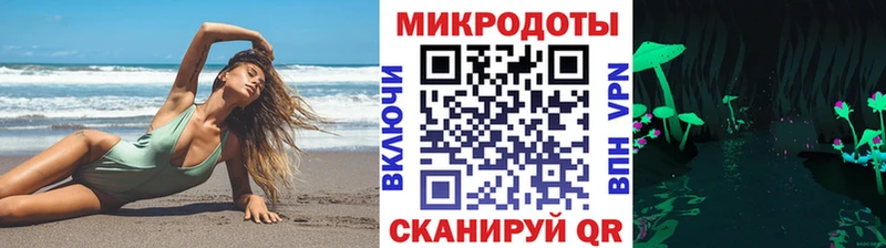 mega рабочий сайт  сколько стоит  Карачев  Галлюциногенные грибы Psilocybe 