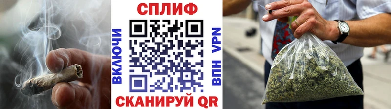 Шишки марихуана конопля Карачев